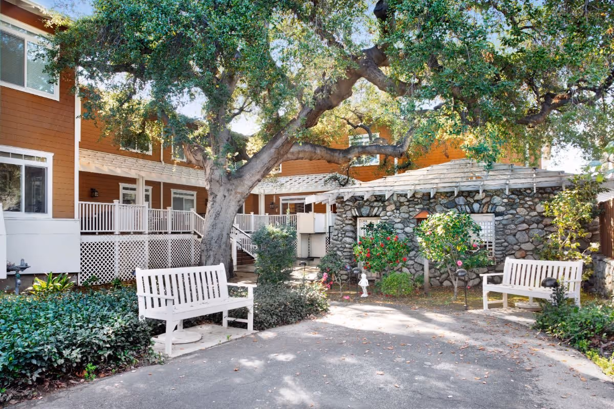 Outdoor courtyard area at Ivy Park at Claremont featuring two white benches, a large tree providing shade, a stone building with a tiled roof, and various bushes and flowering plants.