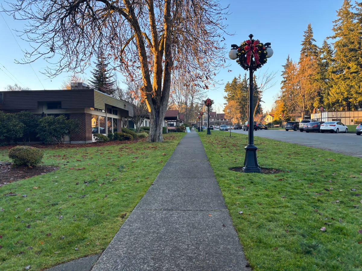 A sidewalk runs through a grassy lawn lined with lamp posts decorated with holiday wreaths and a low building to the left.