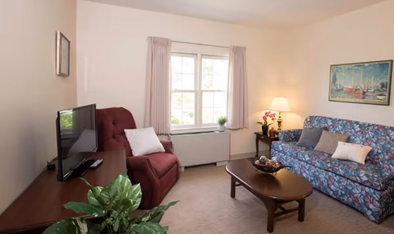 A cozy living room with a floral-patterned sofa and a maroon recliner chair, both with decorative pillows. A wooden coffee table with a decorative bowl sits in the center on a beige carpet. A window with light pink curtains lets in natural light. A side table with a lamp and a small plant is next to the sofa. A flat-screen TV is on a wooden TV stand, and a green leafy plant is in the foreground.