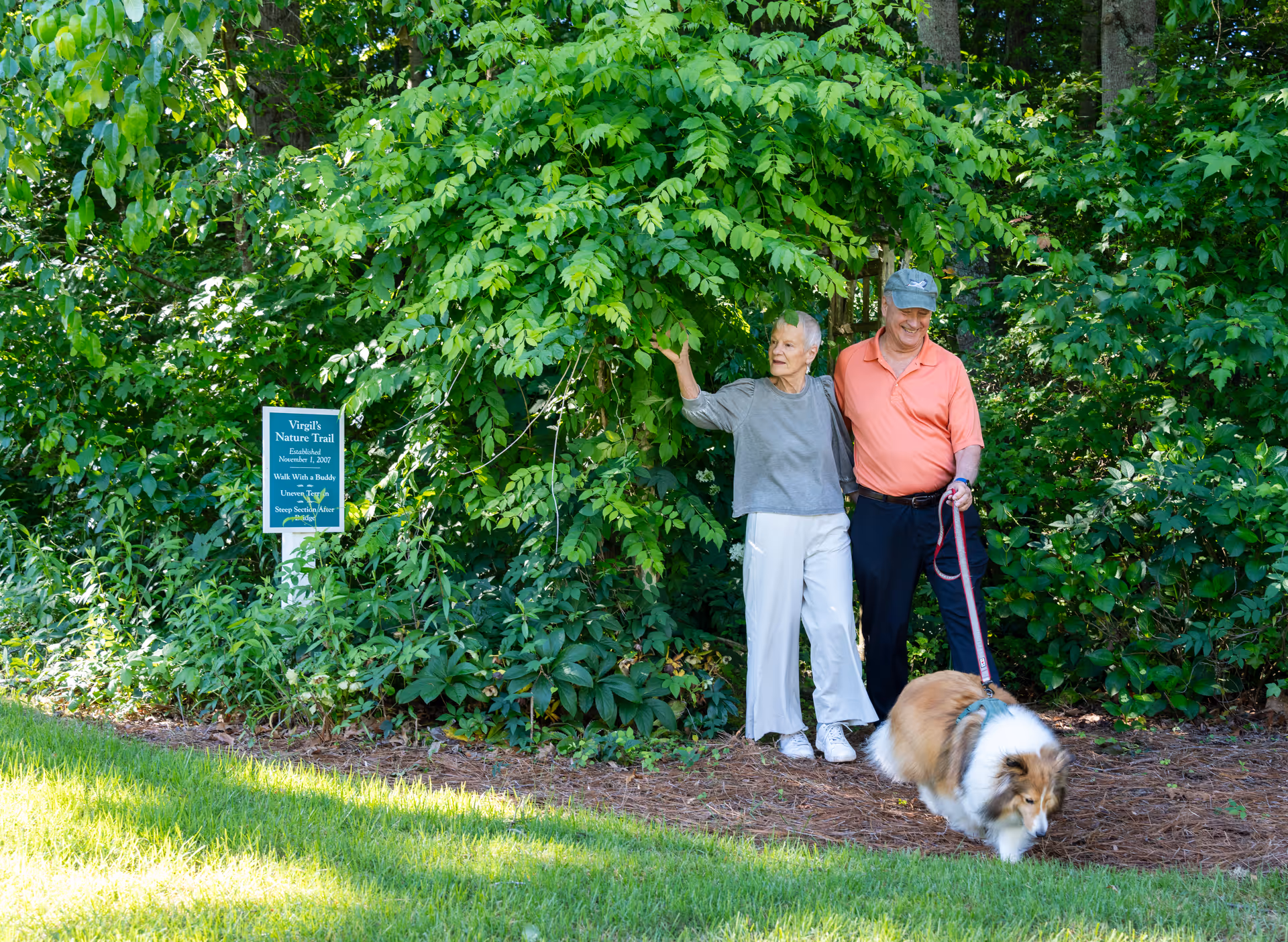 An elderly couple stands on a nature trail surrounded by lush green trees and bushes. The woman is pointing at something in the foliage while the man holds a leash attached to a fluffy dog sniffing the ground. A sign nearby reads 'Virgil's Nature Trail Established November 1, 2007 Walk With a Buddy Use on Trail at Your Own Risk.'