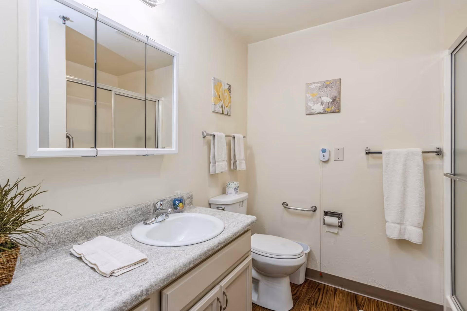 Bathroom with a sink and countertop, mirrored medicine cabinet, toilet with grab bar, towel racks, and a glass-enclosed shower.