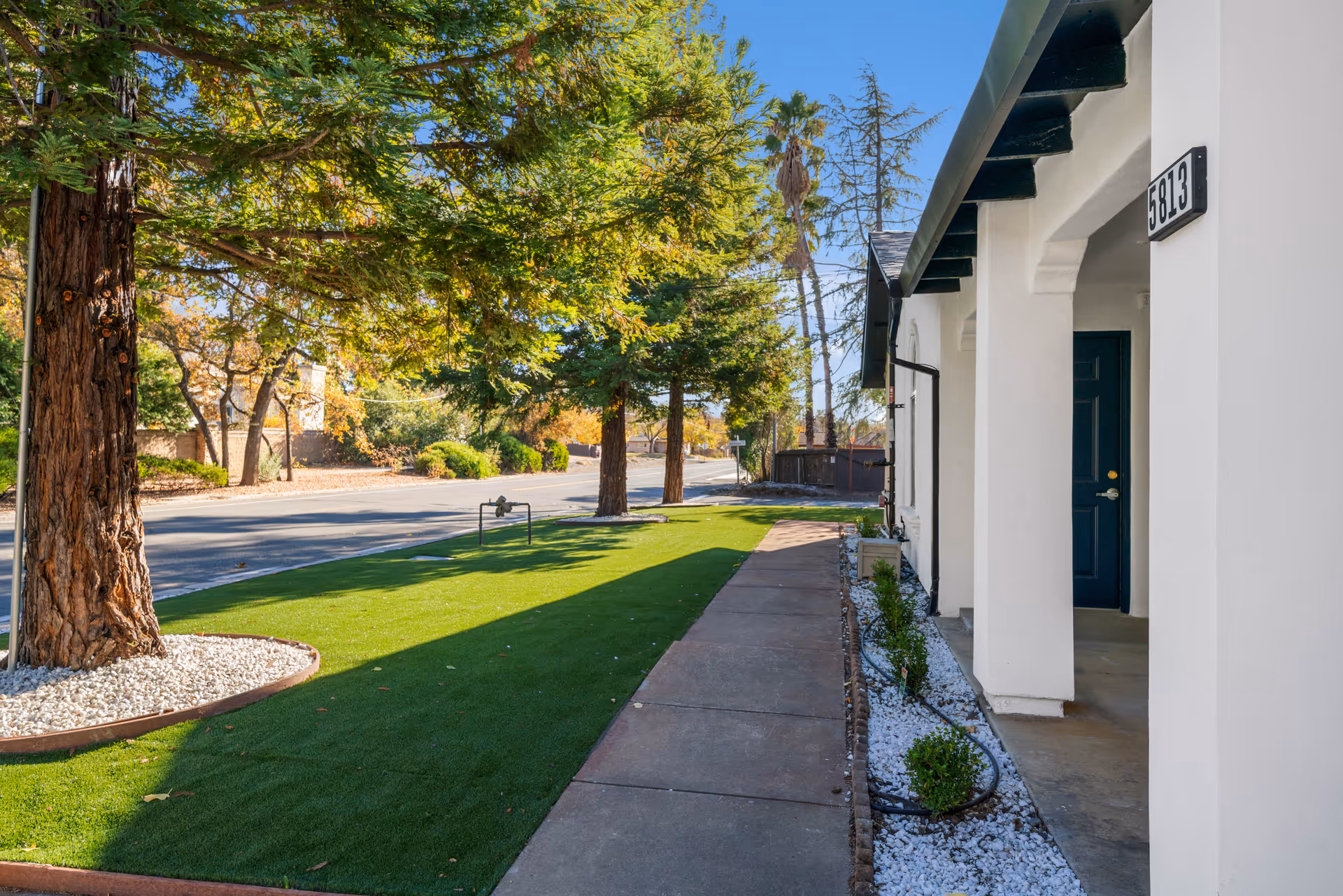 Sidewalk along a white building with a blue door and the number 5813, bordered by a landscaped area with small bushes and white rocks. On the left side, there is a green lawn with large trees and a street in the background under a clear blue sky.