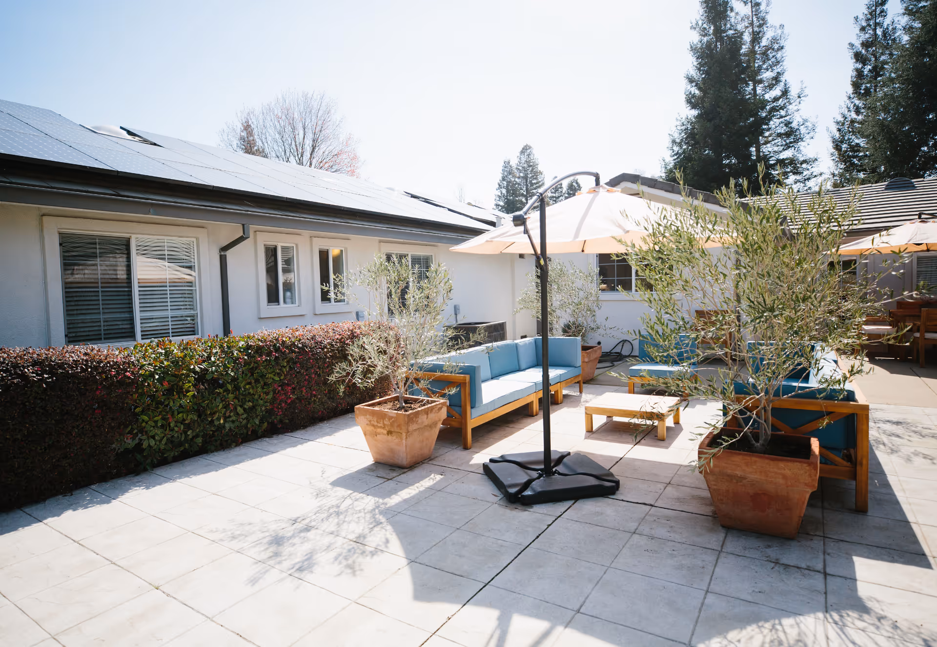 Outdoor patio area with tiled flooring, wooden framed blue cushioned sofas, a small wooden coffee table, large potted plants, and a large umbrella providing shade. The background shows a white building with windows and solar panels on the roof, surrounded by trees and bushes.