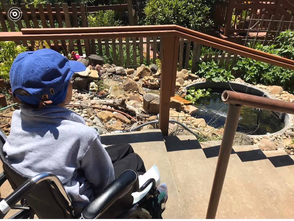A person wearing a blue cap and gray sweatshirt sitting in a wheelchair on a concrete stairway, looking out at a small garden pond surrounded by rocks and greenery with a wooden railing.