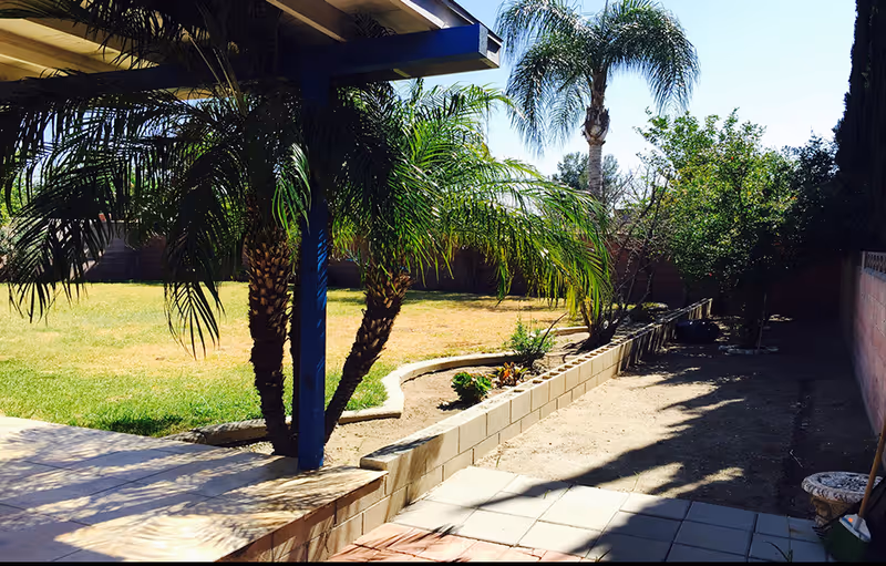 Outdoor garden area with palm trees, a grassy lawn, a raised flower bed with plants, and a paved patio under a pergola structure. The scene is sunny with clear blue sky.