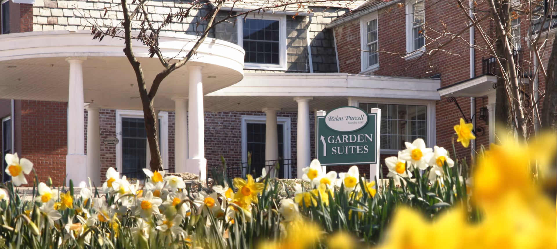 Exterior view of the Helen Purcell/Shinnick Center building with a garden full of blooming yellow and white daffodils in the foreground. The building features brick walls, white columns, and a sign that reads 'Helen Purcell Garden Suites'.