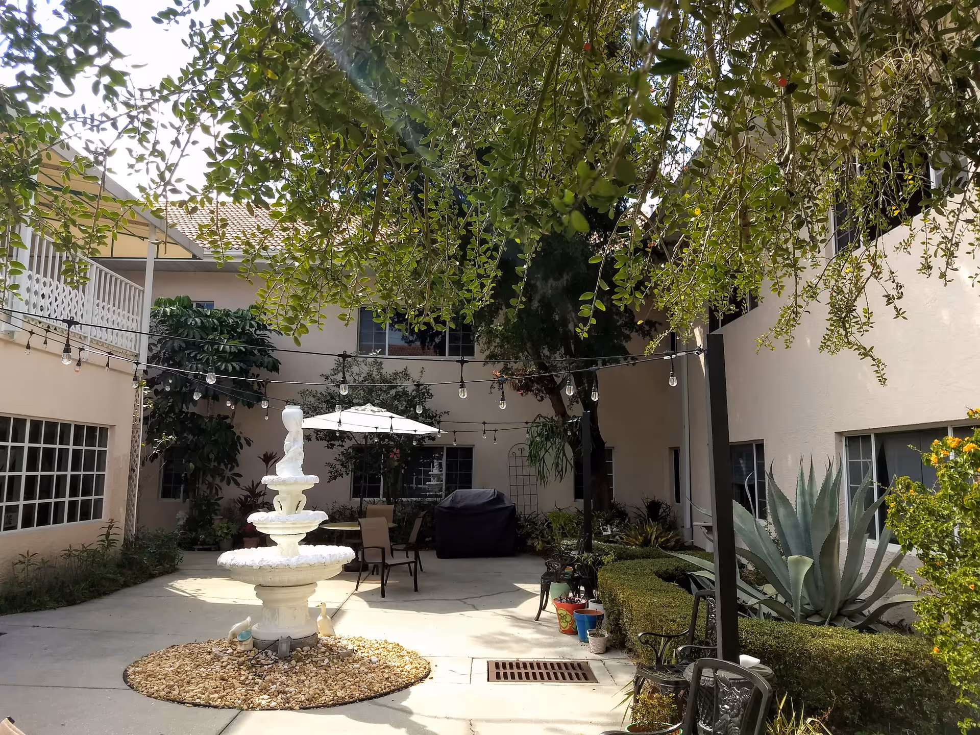 Outdoor courtyard area at Savannah Grand of Sarasota featuring a white tiered fountain surrounded by a circular bed of rocks, patio tables with chairs and an umbrella, string lights overhead, various potted plants, large agave plants, and greenery along the building walls.