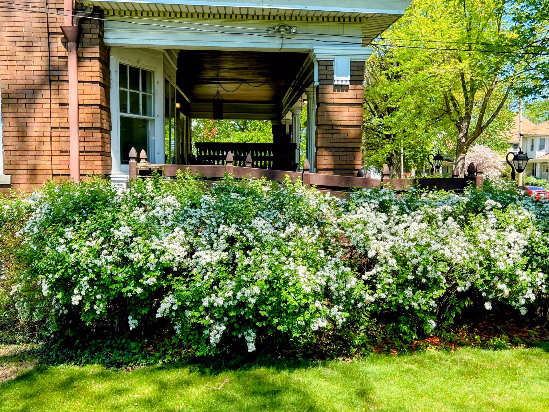 Front porch of a brick house seen behind a hedge of white flowering shrubs on a sunny day.