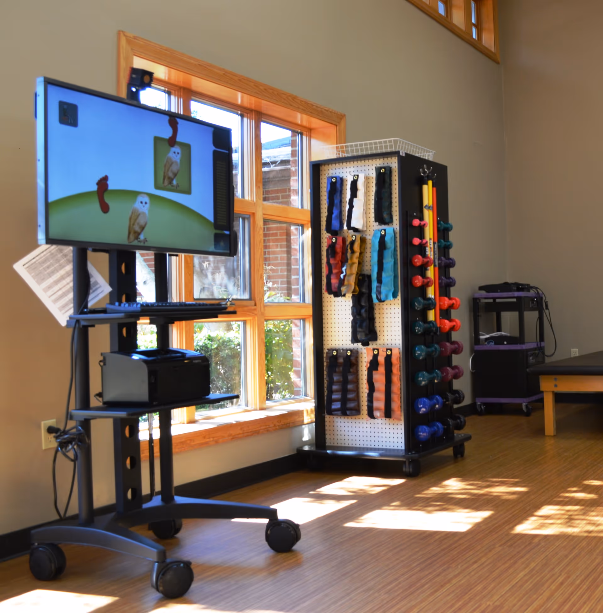 A bright room with wooden floors and large windows letting in sunlight. There is a TV on a wheeled stand displaying an image of an owl, a rack holding colorful exercise weights and resistance bands, and a treatment table partially visible on the right side.