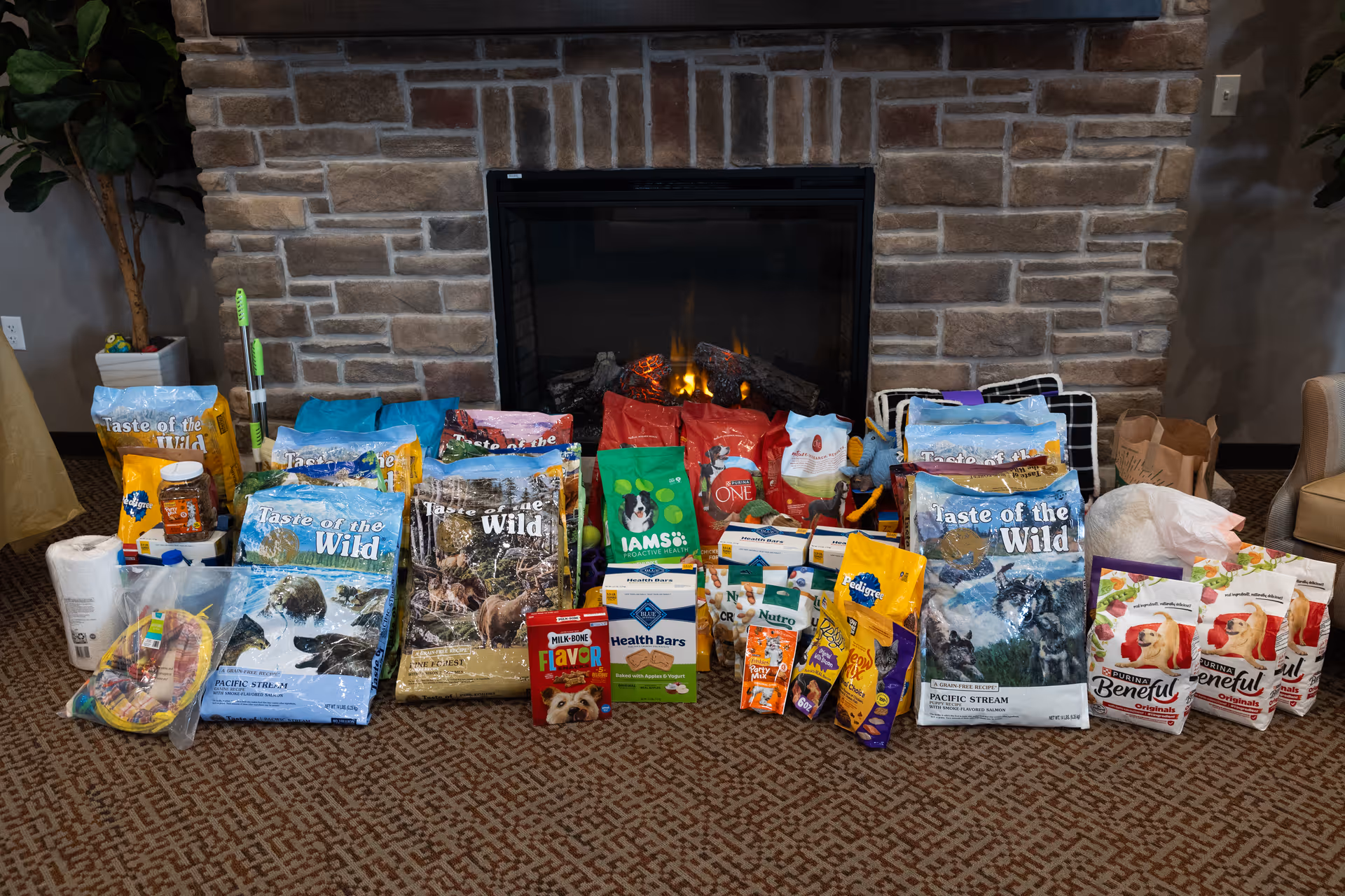 A variety of pet food and supplies arranged on the carpet in front of a stone fireplace in a living room setting. The items include large bags of dry dog food, canned food, treats, and other pet care products. There are plants and furniture partially visible on the sides.