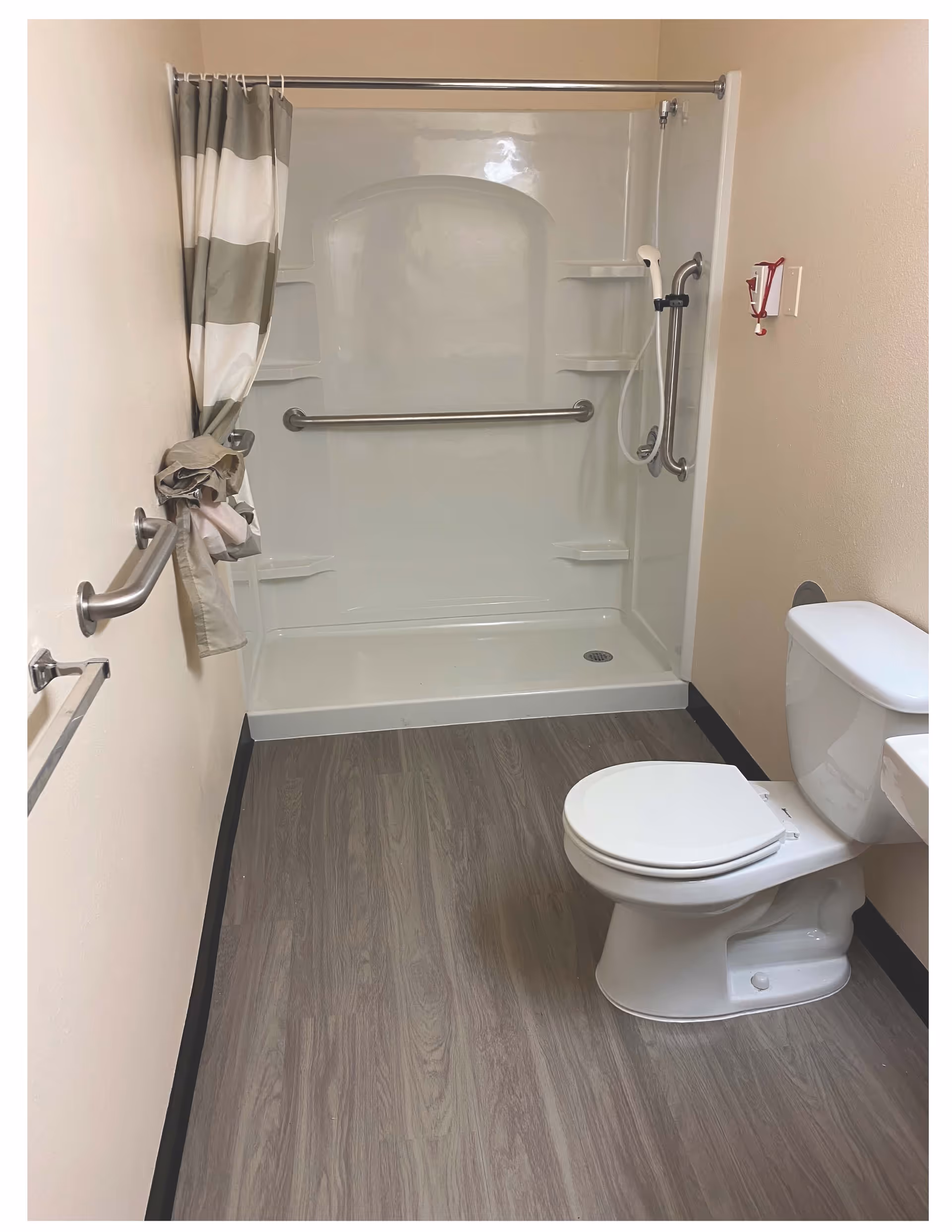 Accessible bathroom with a walk-in shower and grab bars, shower curtain and handheld showerhead, and a toilet on wood-look flooring.