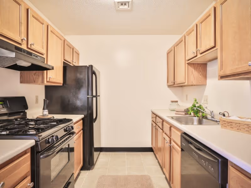 A clean kitchen with wooden cabinets, a black refrigerator, a black gas stove with oven, a dishwasher, a stainless steel sink, and light-colored countertops. There is a small plant and some kitchen items on the counter, and the floor is tiled with a small rug in front of the stove.