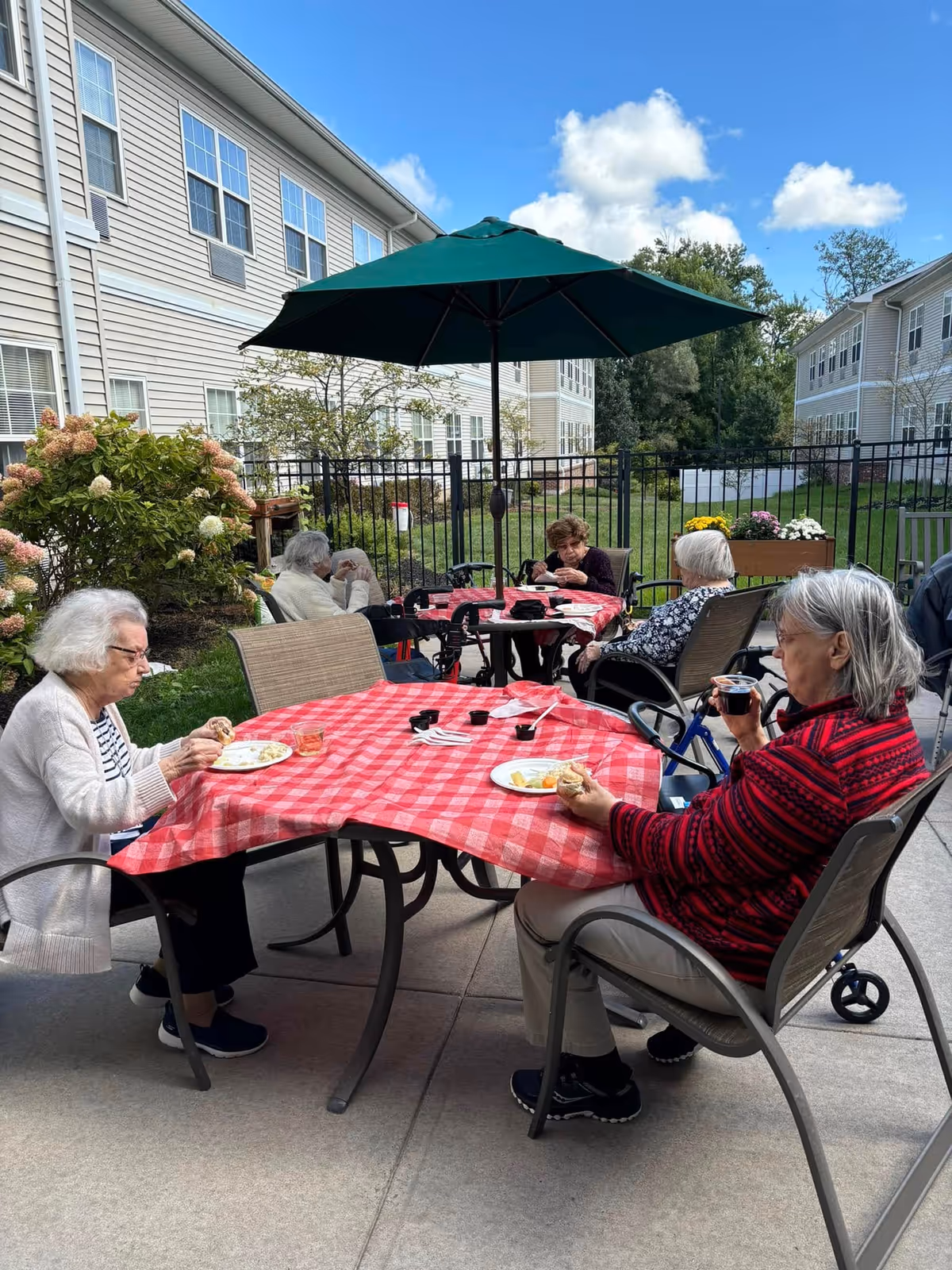 Several elderly women sitting at outdoor tables with red checkered tablecloths, eating and drinking under a large green patio umbrella. The setting is a fenced patio area with greenery and residential buildings in the background under a blue sky with some clouds.