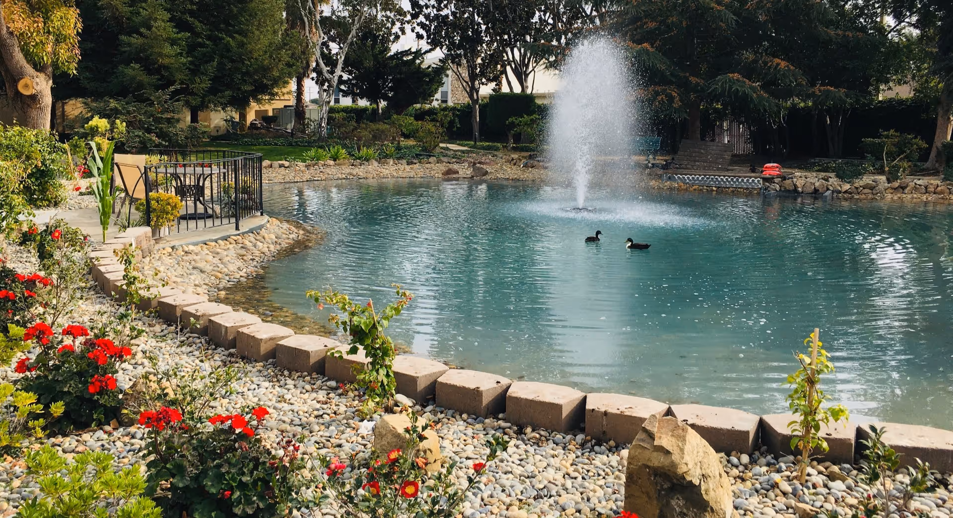 A serene outdoor pond with a water fountain in the center, surrounded by rocks and vibrant red flowers. Two ducks are swimming in the pond. There is a small patio area with a table and chairs on the left side, and trees and greenery in the background.