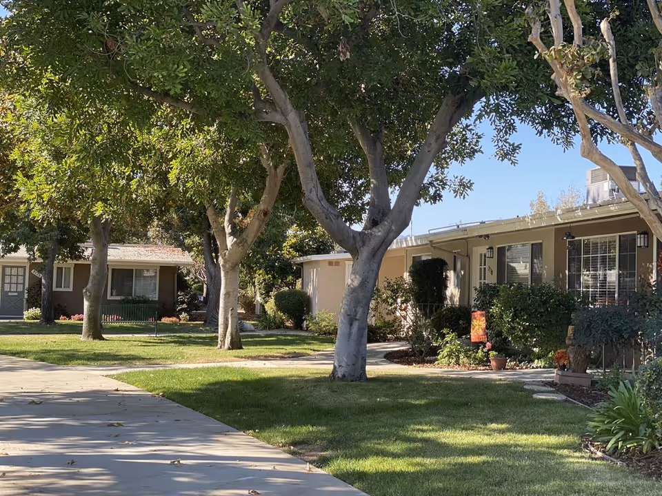 A peaceful outdoor area of a senior living facility with a sidewalk, green grass, several mature trees, and single-story residential buildings with windows and doors. The sky is clear and blue.