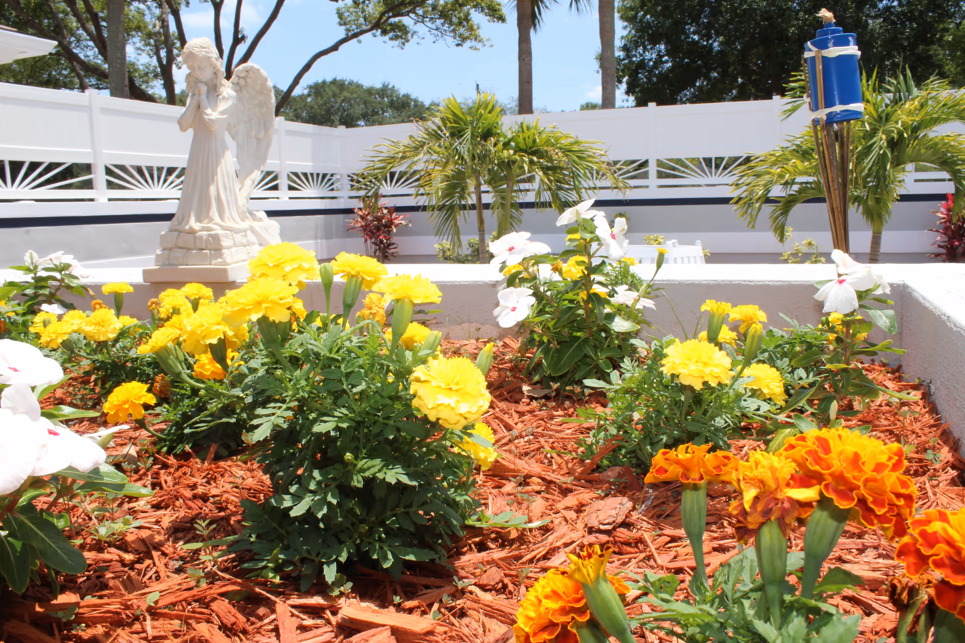 A garden bed with vibrant yellow, white, and orange flowers surrounded by red mulch. In the background, there is a white statue of an angel and some small palm trees, all enclosed by a white fence under a clear blue sky.