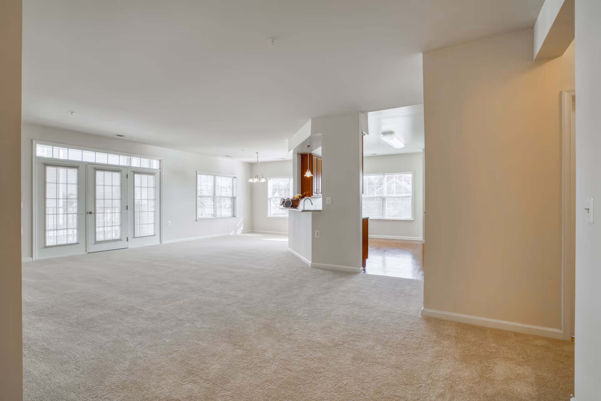 Spacious empty living area with beige carpet, large windows, and glass doors letting in natural light. The room opens into a kitchen area with wooden cabinets and a small breakfast bar. Walls are painted white and the space appears clean and bright.