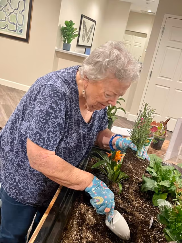 An elderly woman wearing blue patterned gloves and a blue patterned shirt is planting a small potted plant into a raised indoor garden bed. The indoor setting has light-colored walls, framed artwork, and a plant on a shelf in the background.
