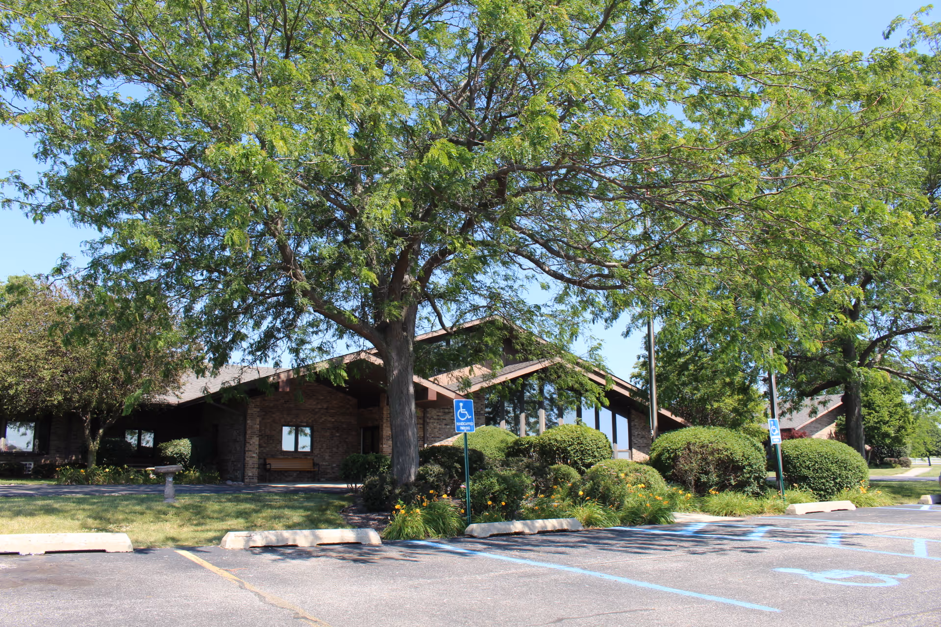 Front of a low brick nursing home building partially shaded by a large tree, with landscaped shrubs and a parking lot with handicap spaces in the foreground.