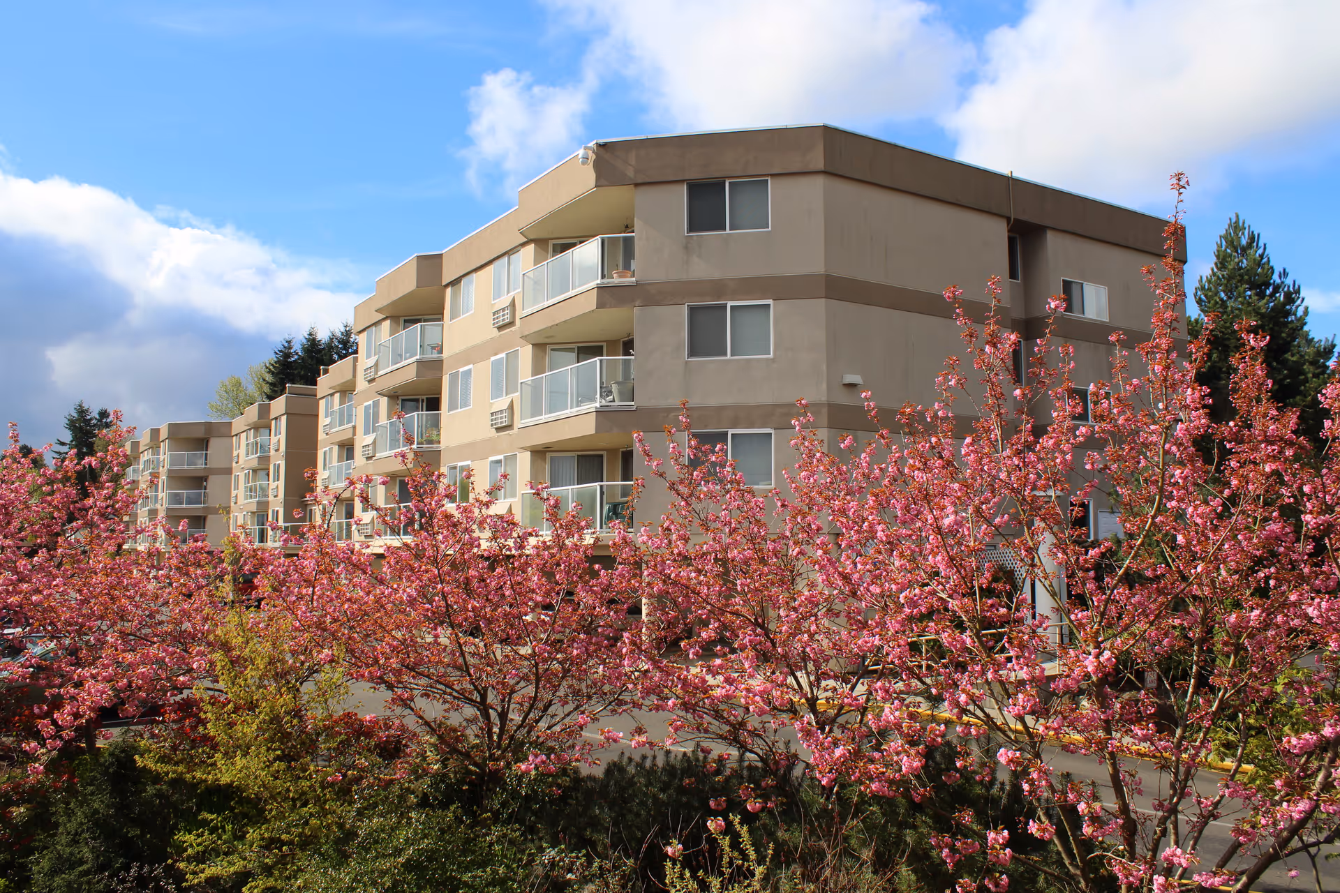 Exterior view of a multi-story beige retirement living building with balconies, surrounded by blooming pink cherry blossom trees under a partly cloudy blue sky.