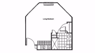 Architectural floor plan of a studio apartment featuring a combined living and bedroom area, a kitchen with a sink and stove, and a bathroom with a shower, toilet, and sink.