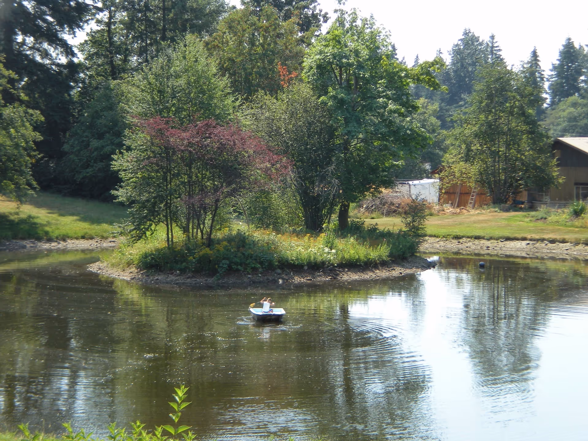 A small pond with an island in the center covered with trees and bushes. A person is sitting in a small paddle boat on the water. Surrounding the pond are grassy areas and more trees, with a building visible in the background.