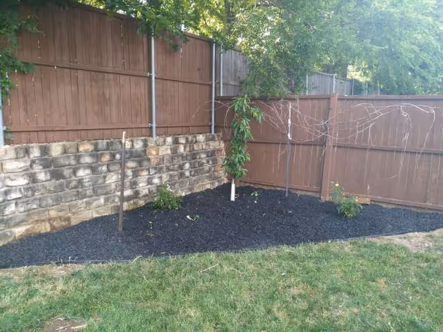 Outdoor backyard with mulch bed, small trees, and a tall wooden fence.