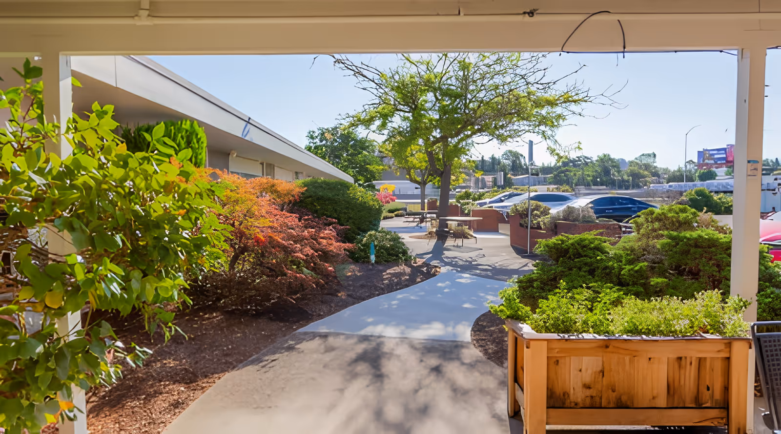 View of an outdoor garden area at Rose Haven Nursing Center with a paved walkway, various green shrubs, colorful bushes, a tree, and outdoor seating tables. The scene is bright and sunny with a clear blue sky.