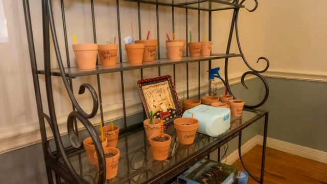 A metal and glass shelving unit holding multiple small terracotta pots with plant markers and soil, a spray bottle, a small blue humidifier, and a framed picture. The shelving unit is placed against a wall with white and gray paneling and a wooden floor.