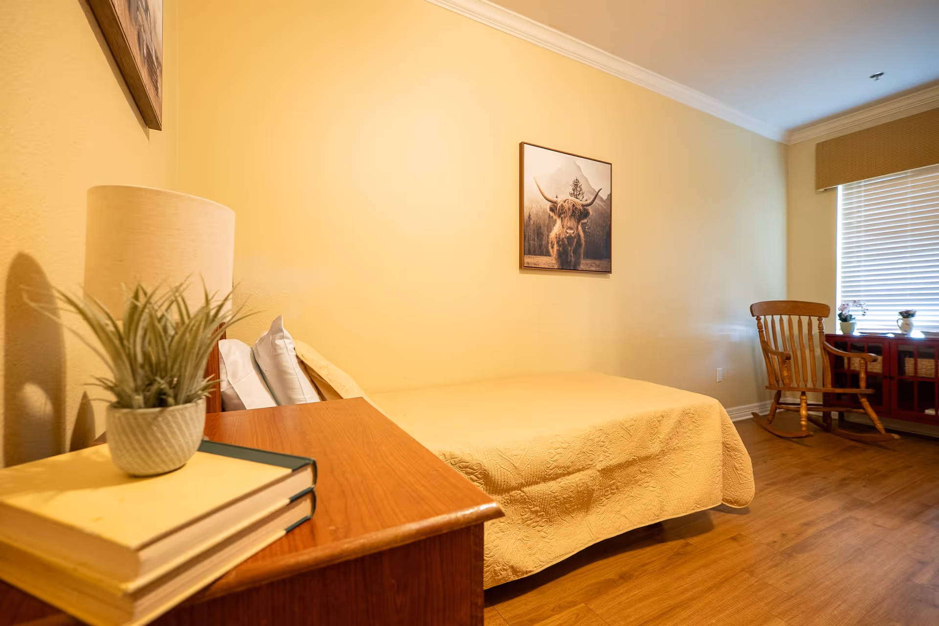 A cozy bedroom with a single bed covered in a yellow quilt, a wooden nightstand with a lamp, books, and a small potted plant. On the wall above the bed is a framed picture of a highland cow. There is a wooden rocking chair near a window with blinds and a cabinet with small plants on top.