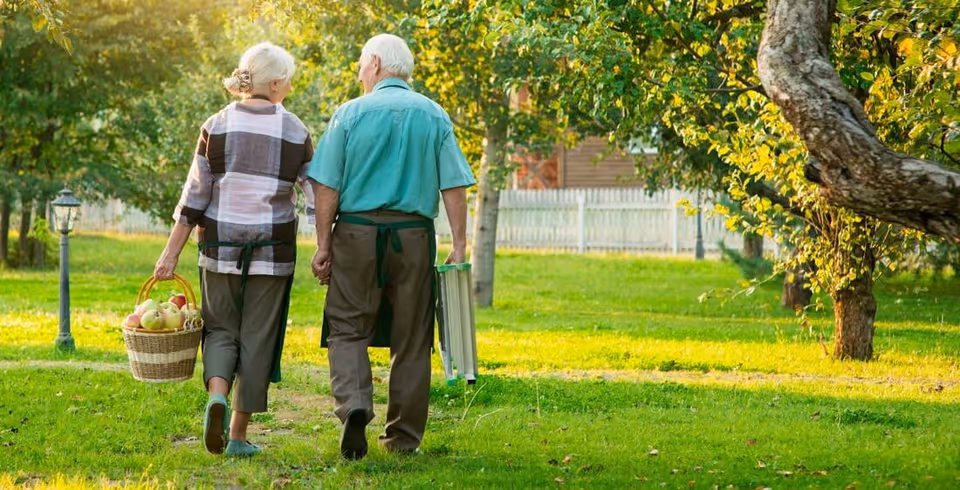 An elderly couple walking hand in hand through a green orchard. The woman carries a basket filled with apples, and the man holds a folding chair. They are surrounded by trees and grass, with a white picket fence and a house visible in the background.