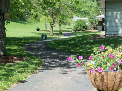 Path along a grassy area with trees and a flowering pot near a building.