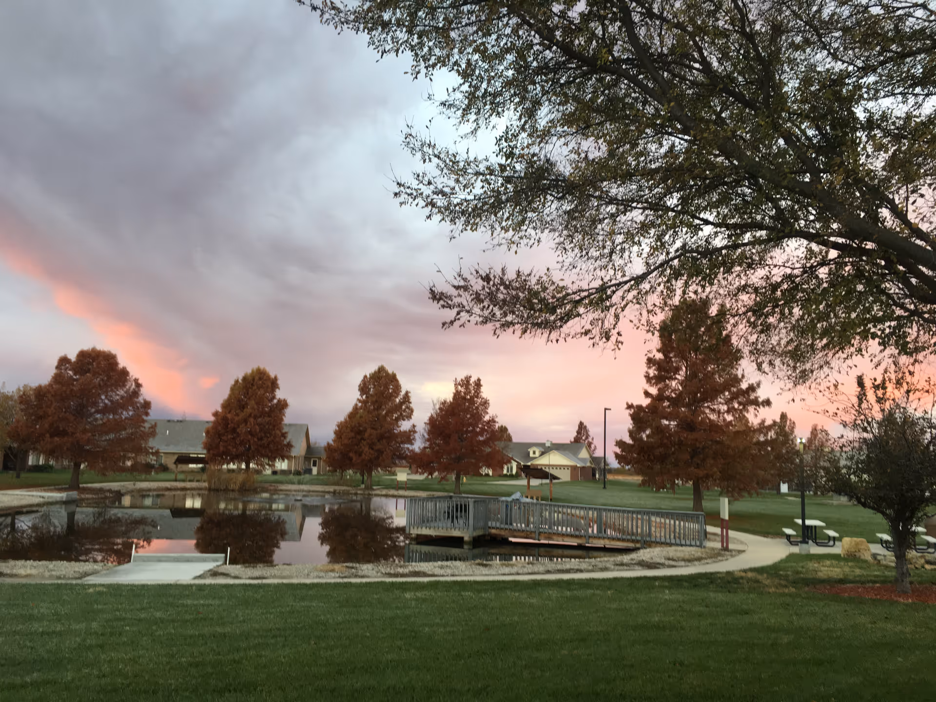 A serene outdoor scene at sunset featuring a small pond with a wooden bridge, surrounded by green grass and trees with autumn-colored leaves. Residential buildings are visible in the background under a colorful sky with pink and purple hues.