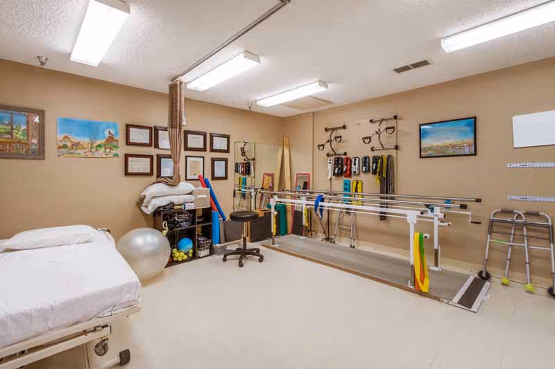 A physical therapy room with parallel bars for walking exercises, a hospital bed, exercise equipment including a large silver exercise ball, resistance bands hanging on the wall, and framed certificates and paintings on the walls.