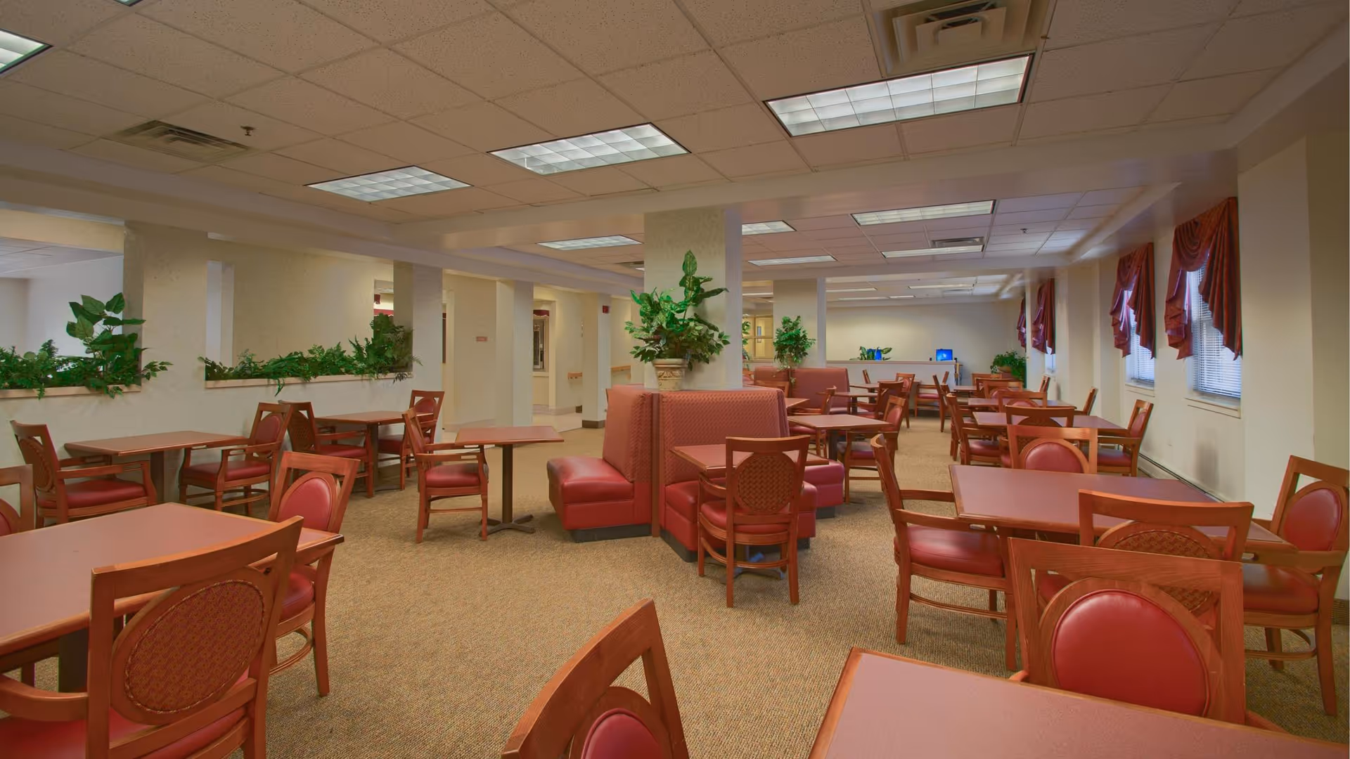 A spacious dining room with multiple wooden tables and red cushioned chairs arranged neatly. There are red cushioned booth seats in the center, potted plants on ledges and columns, and windows with red curtains along the right wall. The ceiling has fluorescent lighting panels.