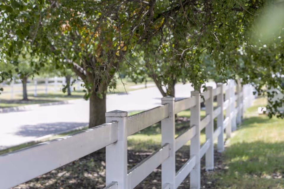 A white wooden fence runs alongside a tree-lined street with green grass and leafy trees providing shade.