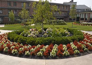 Circular landscaped flower bed with central tree in front of Wesley Enhanced Living at Pennypack Park.
