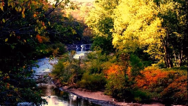 A river winding through a wooded area with autumn foliage and a small waterfall in the background.