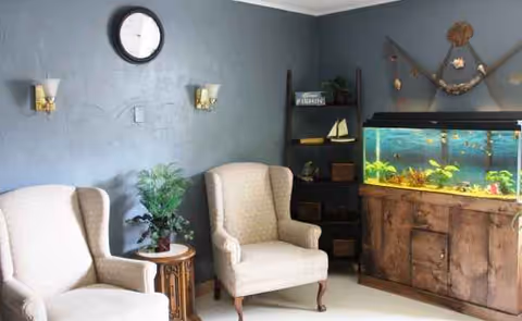 Two beige armchairs sit beside a small wooden table with a plant, near a large aquarium.