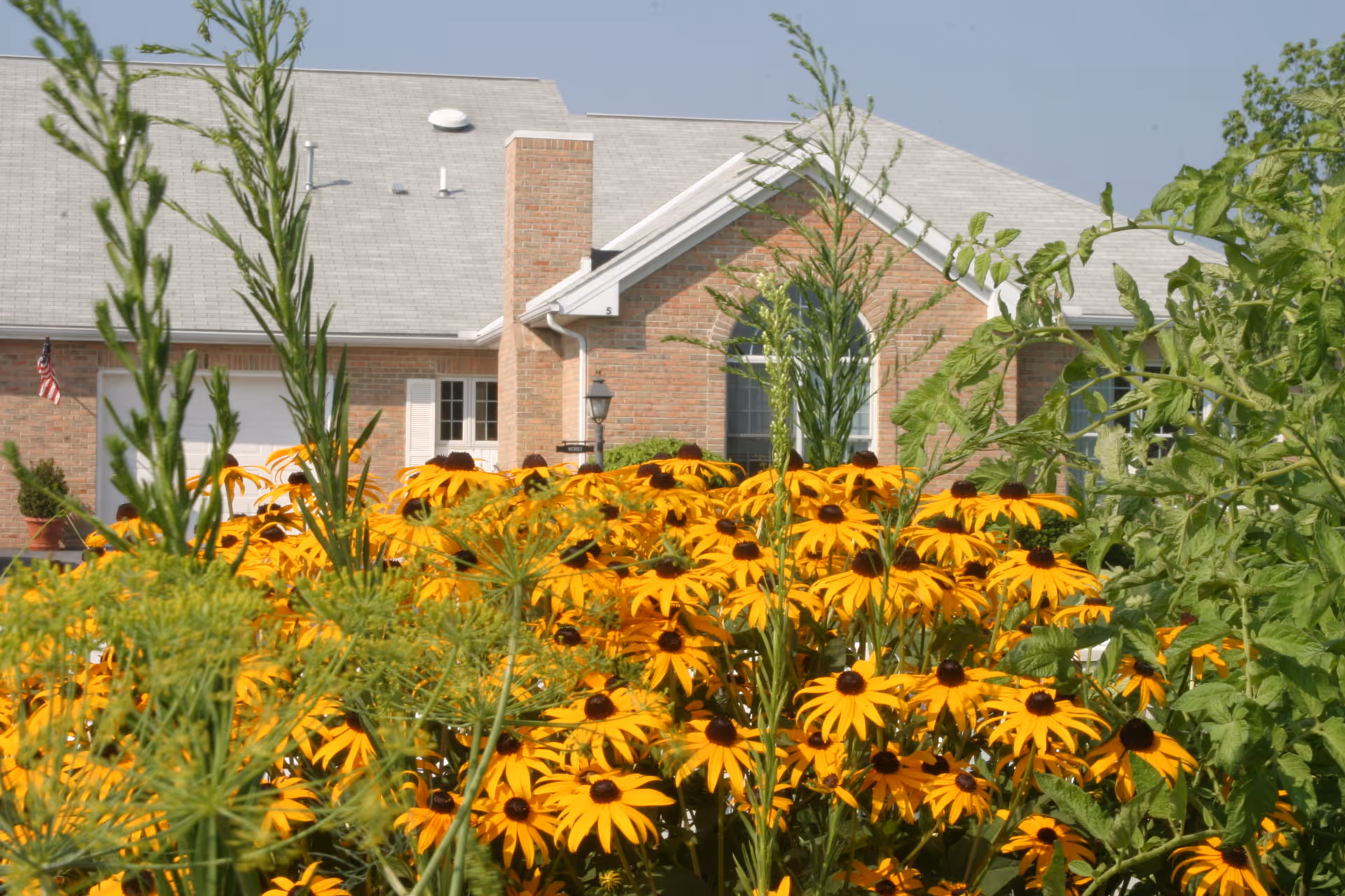 A garden with vibrant yellow and orange flowers in the foreground and a brick building with a gray roof in the background under a clear blue sky.