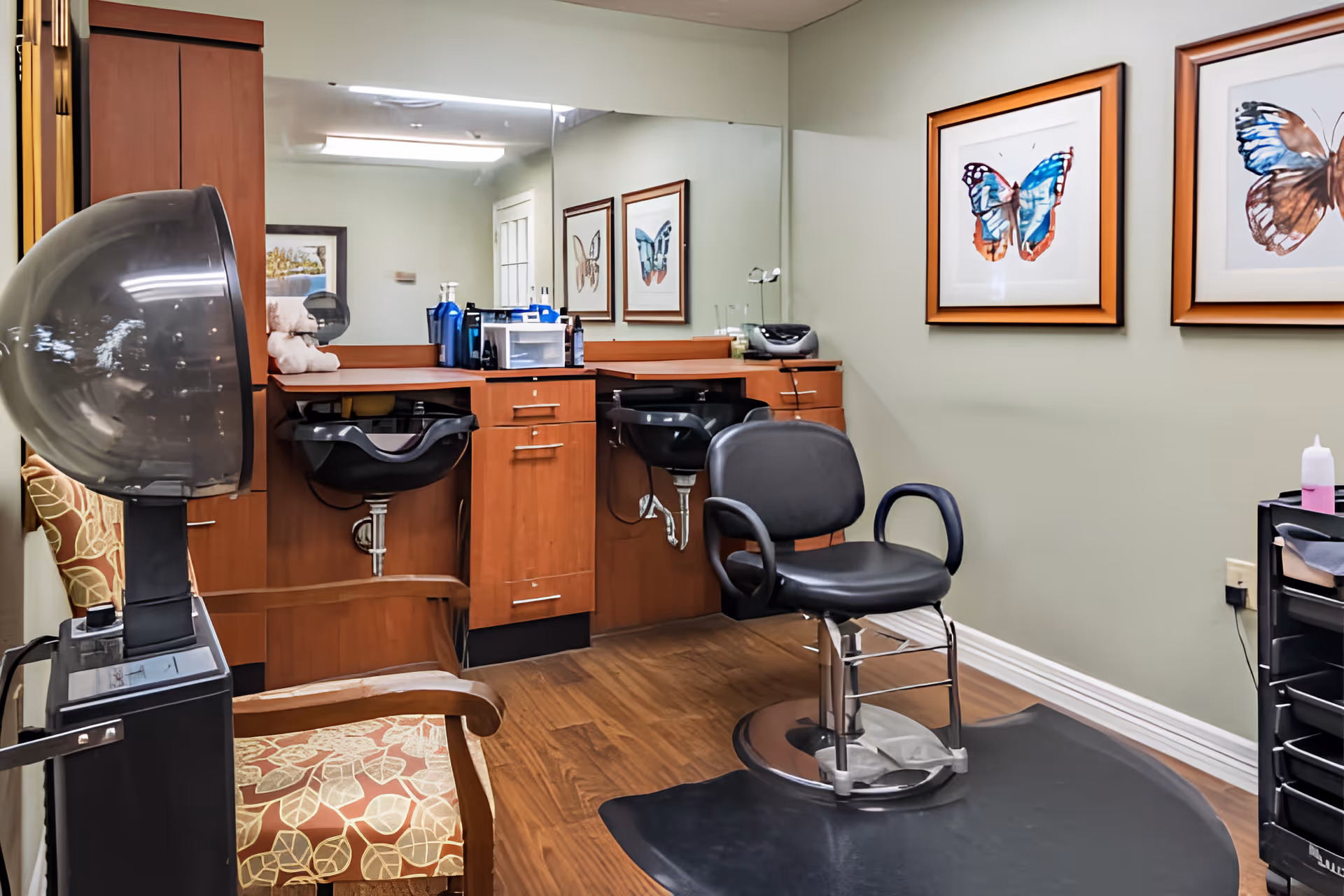 A small salon/styling room with a barber chair, hooded hair dryer, wash sinks, wooden cabinets and framed butterfly artwork on the wall.