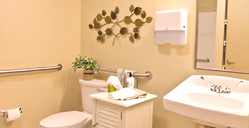 Accessible bathroom with a toilet, pedestal sink, grab bars, small storage cabinet, and wall decor.