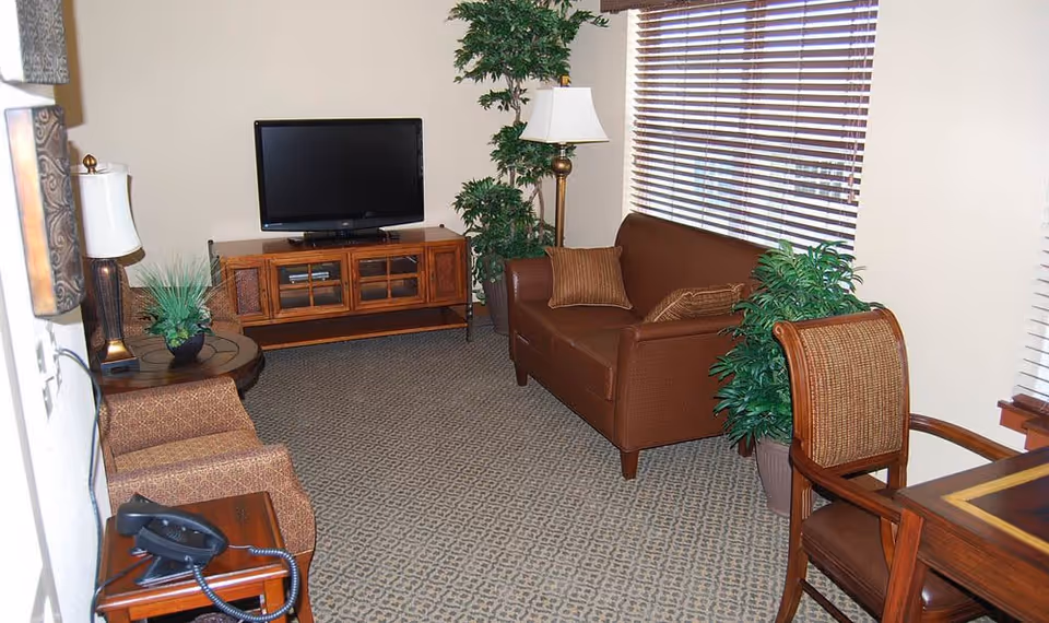 A cozy living room with a brown leather couch, a wooden TV stand with a flat-screen TV, two potted plants, a floor lamp, a small round table with a plant, a patterned armchair, a wooden chair with a woven backrest, and a carpeted floor. The room has beige walls and a window with wooden blinds.