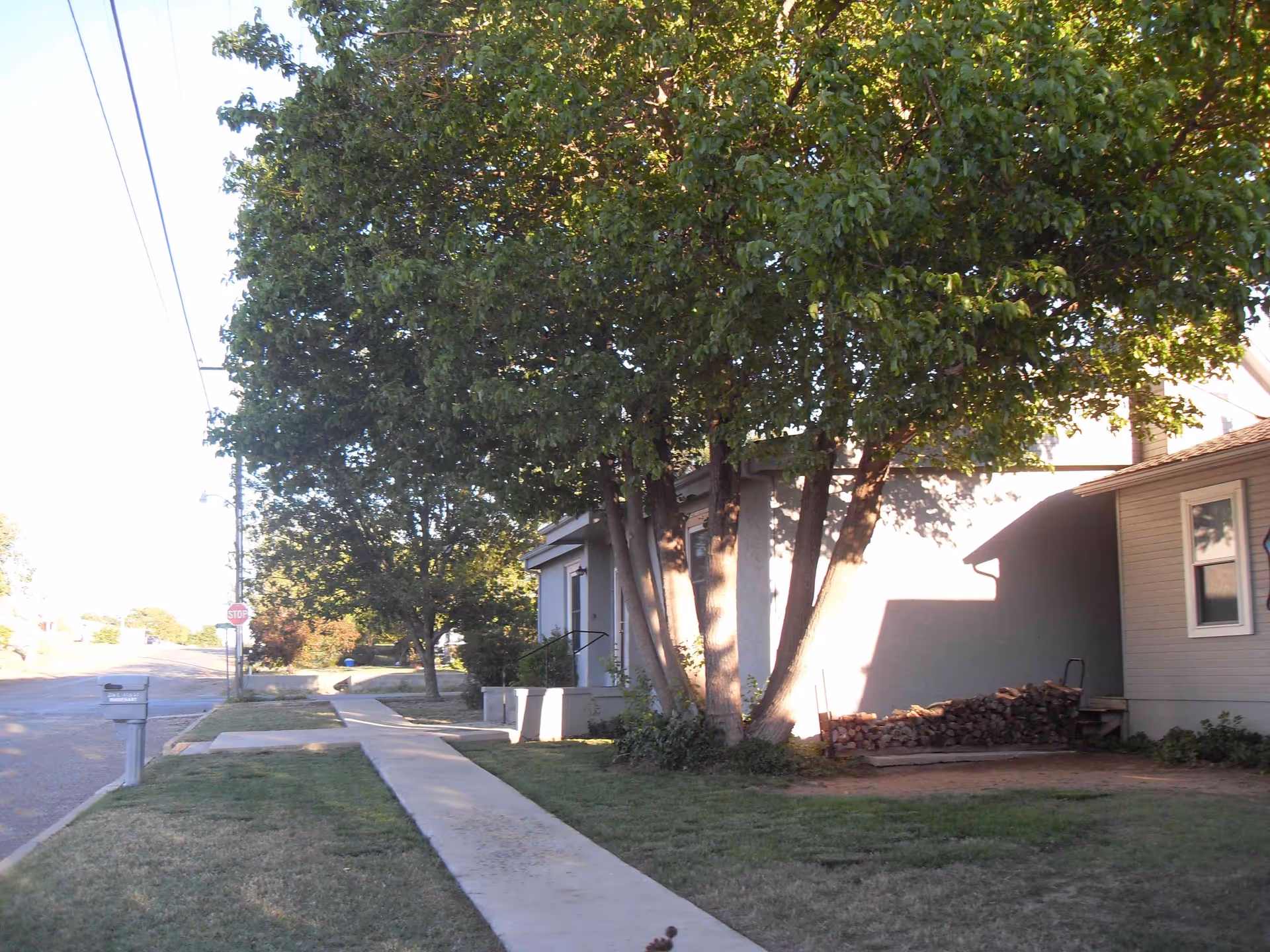 Sidewalk along a residential street with a large tree casting shadows on a light-colored building. There is a mailbox on the left side near the street, a stop sign in the distance, and a pile of firewood stacked against the building on the right.