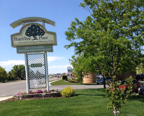 A roadside sign for PeachTree Place Assisted Living & Memory Care on a grassy lawn with trees, a street, and buildings in the background.