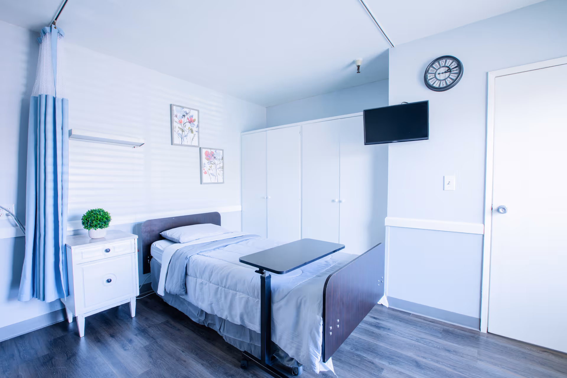 A clean and bright bedroom in a senior living facility with a single bed covered in light gray bedding, a small white nightstand with a potted plant, two floral paintings on the wall, a wall-mounted TV, a clock, and a white wardrobe. The room has light blue walls and wood flooring.