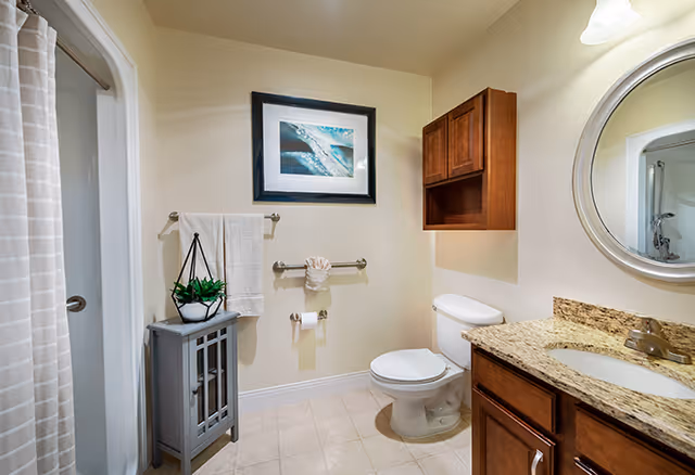 A clean and well-lit bathroom featuring a toilet, a granite countertop with a sink, a round mirror, a wooden cabinet mounted on the wall, a small gray cabinet with a potted plant on top, a towel rack with a white towel, and a framed picture on the wall. A shower curtain is partially visible on the left side.