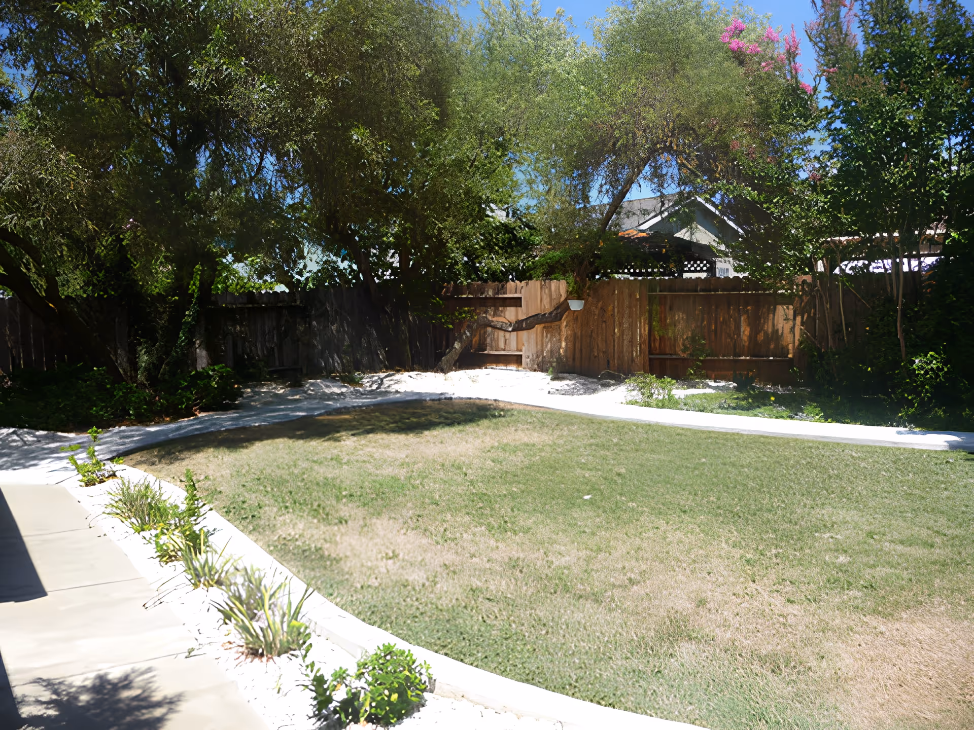 A backyard garden area with a grassy lawn, a curved concrete pathway, and various trees and shrubs along a wooden fence. The sky is clear and blue, and there is a house partially visible behind the fence.