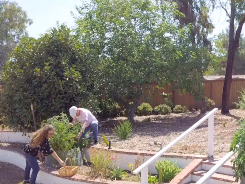 Two people gardening in a raised garden bed area with various plants and trees around, under a sunny sky.