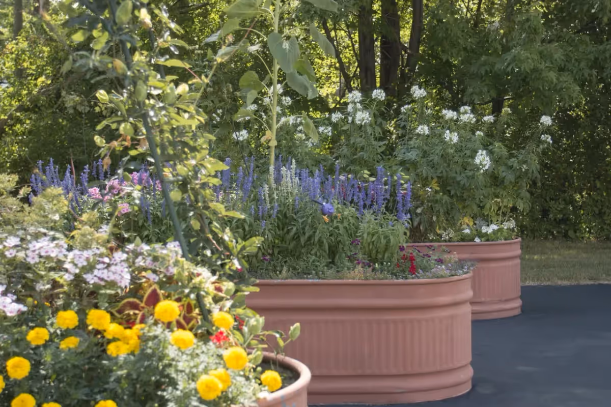 Outdoor garden area with large terracotta planters filled with various colorful flowers including yellow, purple, white, and pink blooms, surrounded by green trees and shrubs in the background.